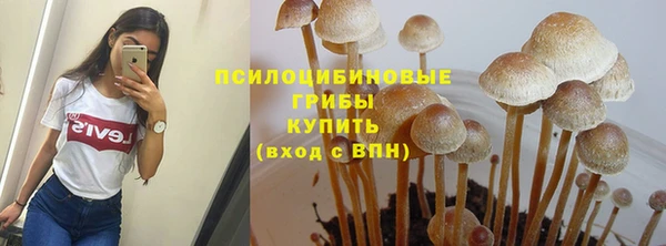прущая мука Алзамай