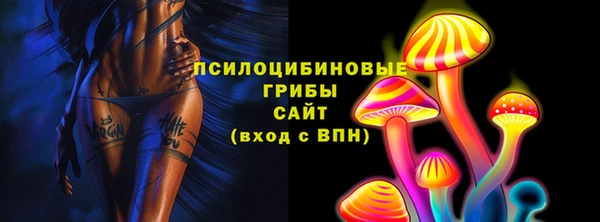 хмурый Яровое