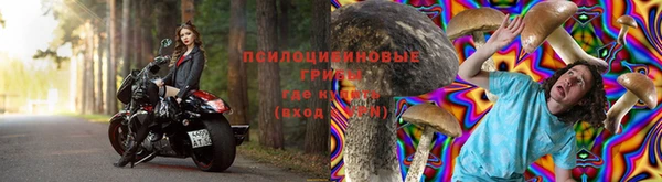 СК Рославль